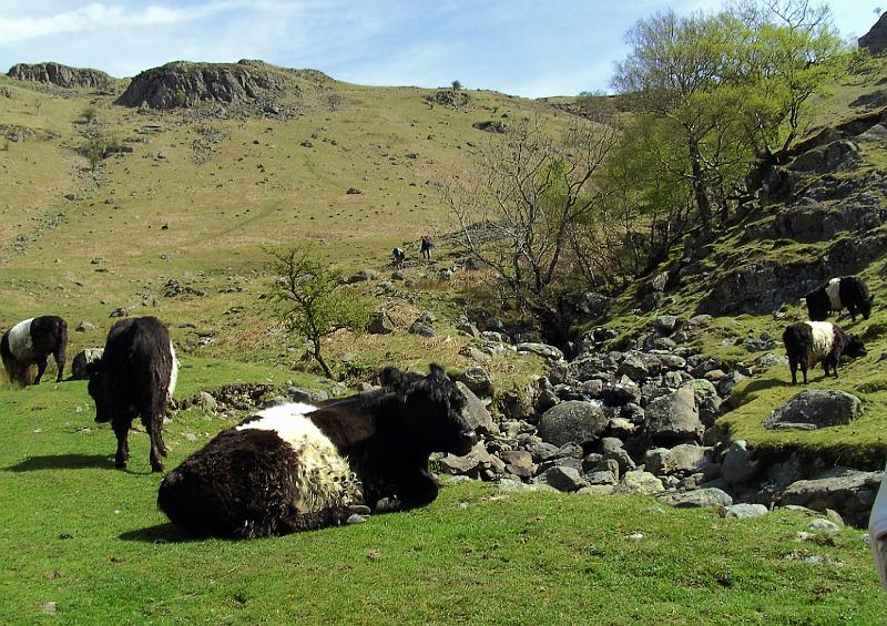 Rondje Lake District op 3-5-2012 (33).jpg
